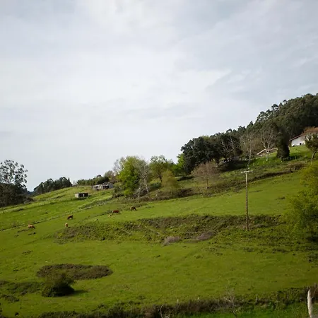 Ibarrangelu Suite דירה